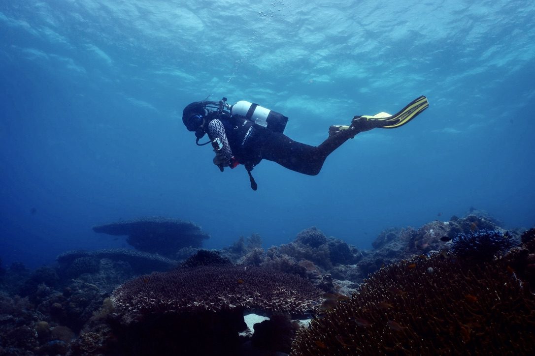 Scuba diving coral reef